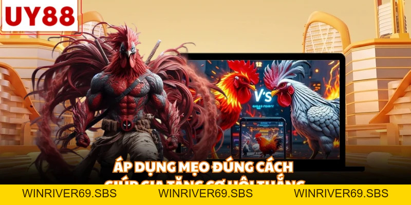 Mẹo Đá Gà Online - Chiến Thuật Đỉnh Cao Giúp Thắng Lớn 1 Tỷ - WINRIVER69.SBS