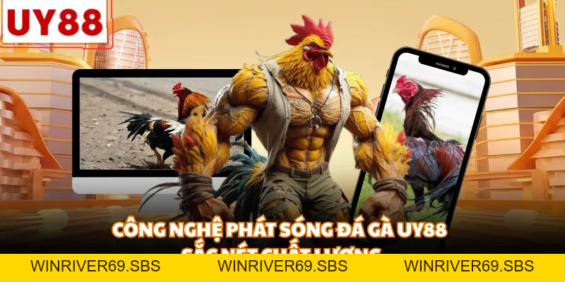 Đá Gà UY88 - Đỉnh Cao Những Trận Đấu Kịch Tính, Nảy Lửa - WINRIVER69.SBS