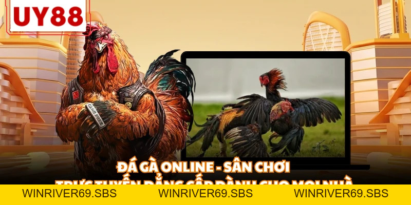 Đá Gà UY88 - Đỉnh Cao Những Trận Đấu Kịch Tính, Nảy Lửa - WINRIVER69.SBS
