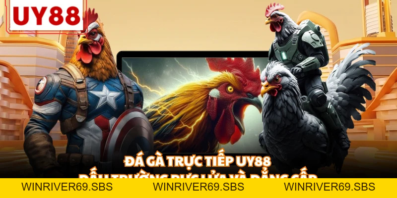 Đá Gà UY88 - Đỉnh Cao Những Trận Đấu Kịch Tính, Nảy Lửa - WINRIVER69.SBS