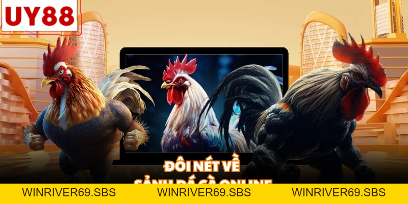 Đá Gà Online - Sân chơi trực tuyến đẳng cấp dành mọi nhà - WINRIVER69.SBS