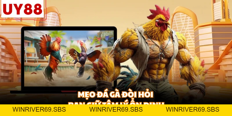 Mẹo Đá Gà Online - Chiến Thuật Đỉnh Cao Giúp Thắng Lớn 1 Tỷ - WINRIVER69.SBS