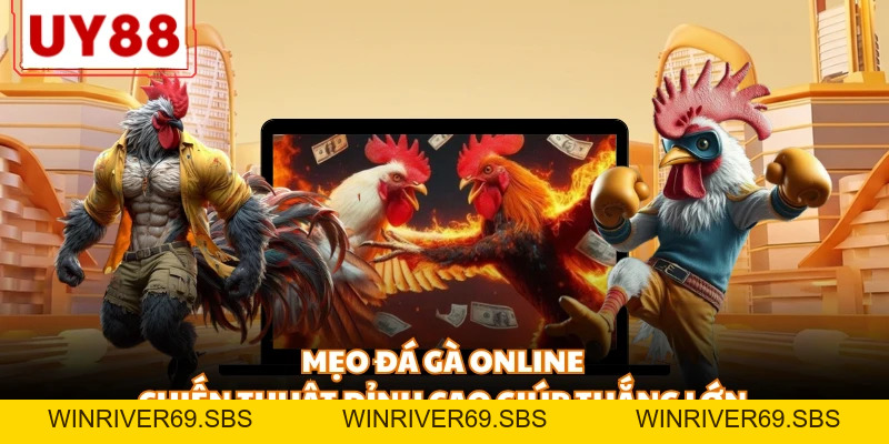 Đá Gà UY88 - Đỉnh Cao Những Trận Đấu Kịch Tính, Nảy Lửa - WINRIVER69.SBS