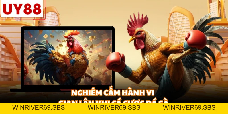 Luật Đá Gà UY88 - Quy Tắc Vàng Cho Mọi Sư Kê Trực Tuyến - WINRIVER69.SBS