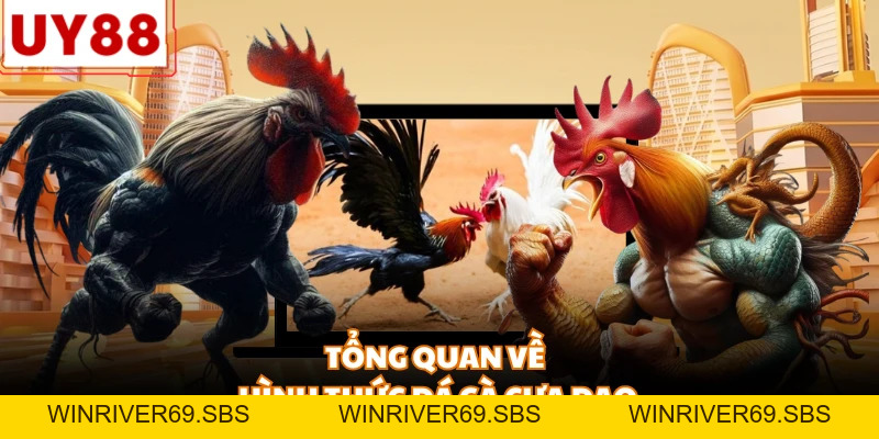 Đá Gà Cựa Dao UY88 - Đấu Trường Sinh Tử Đầy Kịch Tính - WINRIVER69.SBS