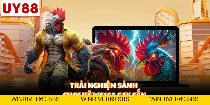 Đá Gà Online - Sân chơi trực tuyến đẳng cấp dành mọi nhà - WINRIVER69.SBS